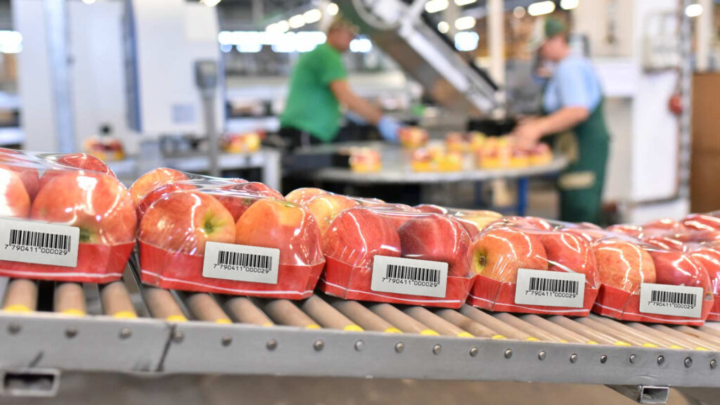 Cinta transportadora con etiqueta fruta